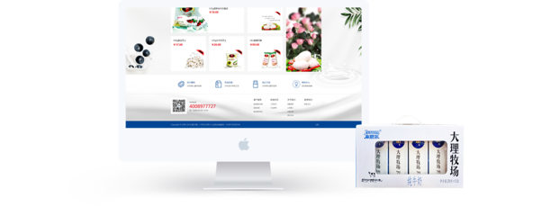 昆明奧遠科技 專業(yè)網站建設與新媒體運營服務專家