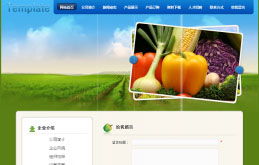 云南新華電腦學(xué)院官方網(wǎng)站 融合地域特色與現(xiàn)代美學(xué)的網(wǎng)頁設(shè)計(jì)典范