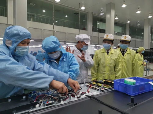 一季度江門外貿量質齊增 口岸營商環境優化與新材料技術推廣服務激發新活力